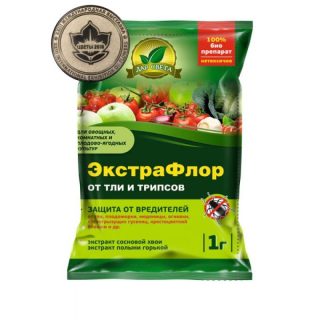 Способы борьбы с тлей в любую стадию роста растений