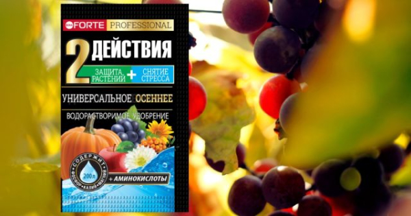 5 обязательных этапов ухода за виноградом осенью