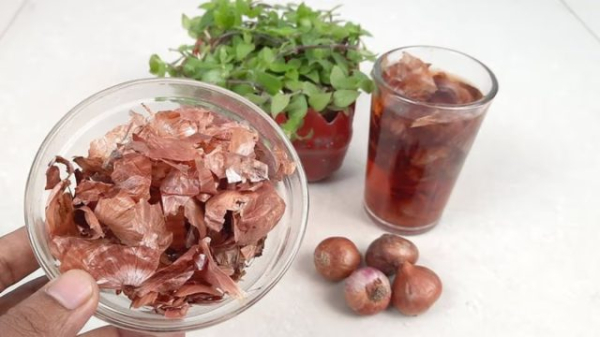 Польза луковой шелухи для растений — личный опыт и научное объяснение