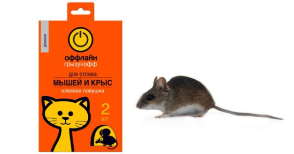 Пошаговый план борьбы с мышами в квартире
