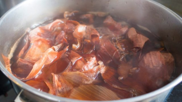 Польза луковой шелухи для растений — личный опыт и научное объяснение