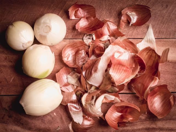 Польза луковой шелухи для растений — личный опыт и научное объяснение