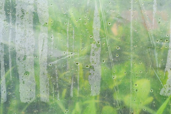 Плёнка или укрывной материал  — что на самом деле лучше?