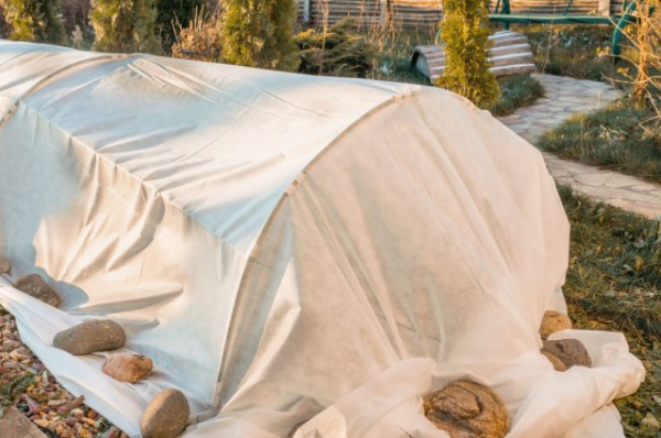 Плёнка или укрывной материал  — что на самом деле лучше?