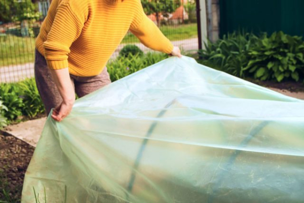 Плёнка или укрывной материал  — что на самом деле лучше?