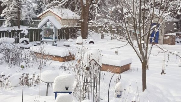 Что нельзя делать садоводам и огородникам в декабре